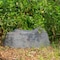 Gardenised Outdoor Natural Artificial Diamond Rock Decor for Gardens, Lawns, and Landscapes QI004481 - alternate 4